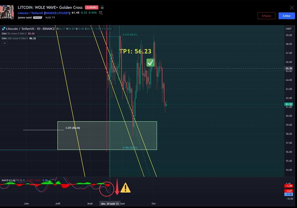 20230820 LITCOIN WW BEARISH